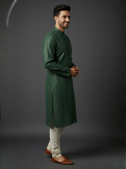 Traditional Sequience Embroidery Mandarin Collar Regular Fit Kurta