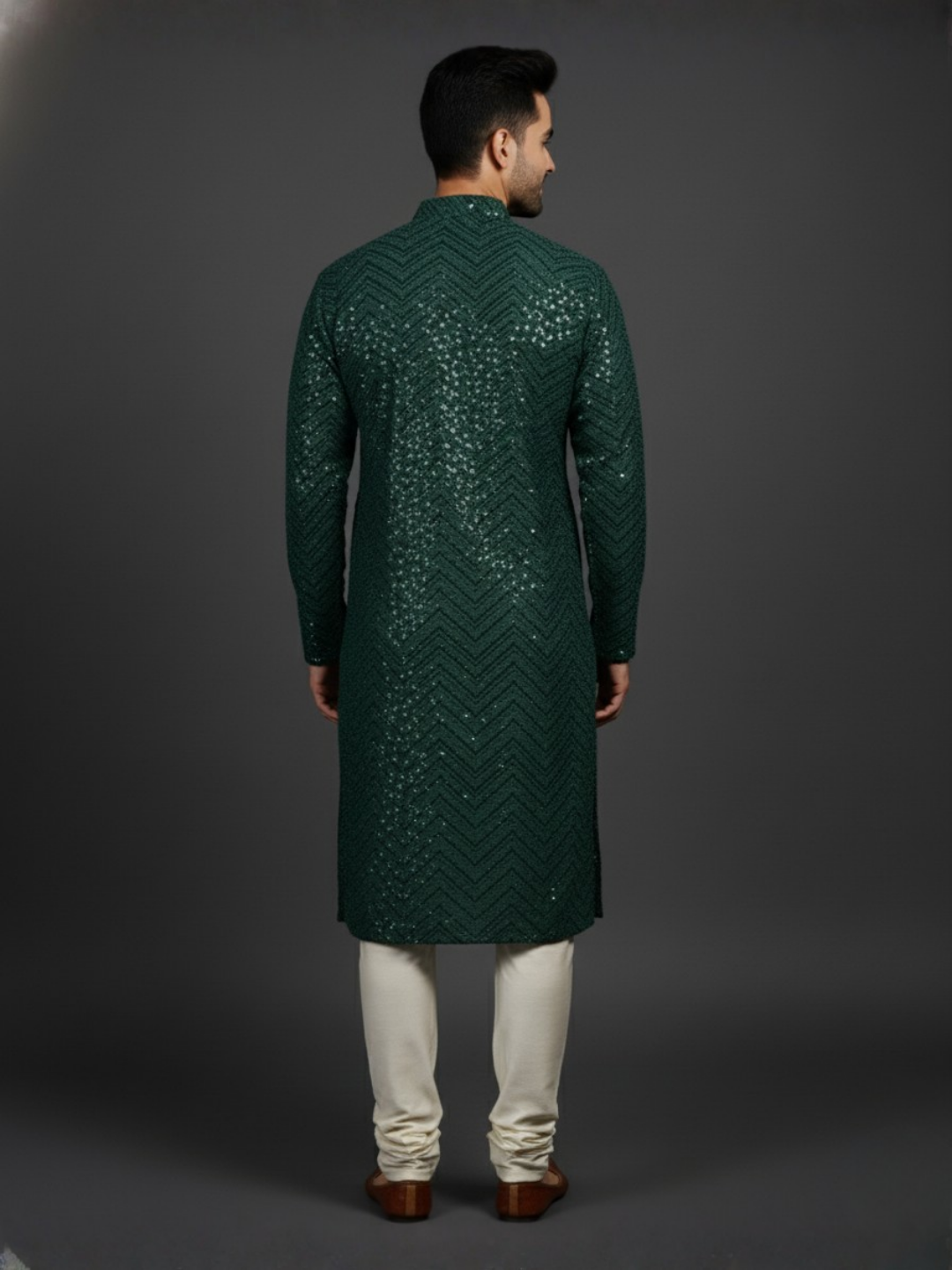 Traditional Sequience Embroidery Mandarin Collar Regular Fit Kurta