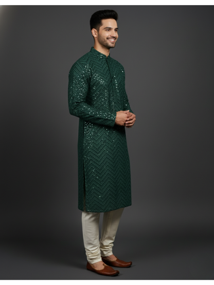 Traditional Sequience Embroidery Mandarin Collar Regular Fit Kurta