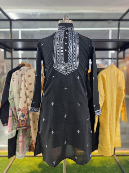 Blackberry Neck work Sequin Embroidery Mandarin Collar Regular Fit Kurta