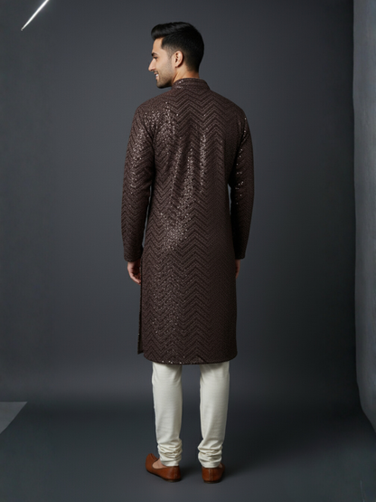 Traditional Sequience Embroidery Mandarin Collar Regular Fit Kurta