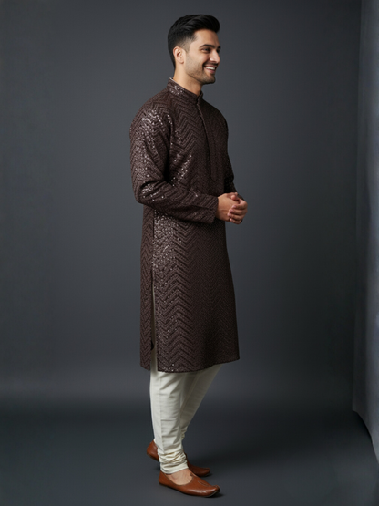 Traditional Sequience Embroidery Mandarin Collar Regular Fit Kurta