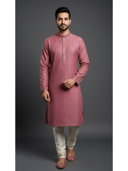 Carnival Class of Sequience Embroidery Regular fit Kurta