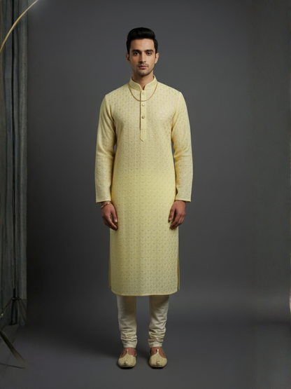 Carnival Class of Sequience Embroidery Regular fit Kurta