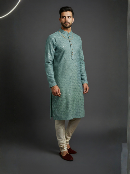 Carnival Class of Sequience Embroidery Regular fit Kurta