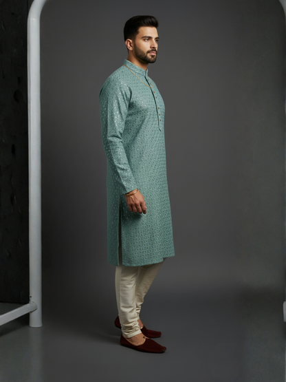 Carnival Class of Sequience Embroidery Regular fit Kurta