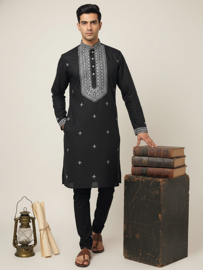 Blackberry Neck work Sequin Embroidery Mandarin Collar Regular Fit Kurta