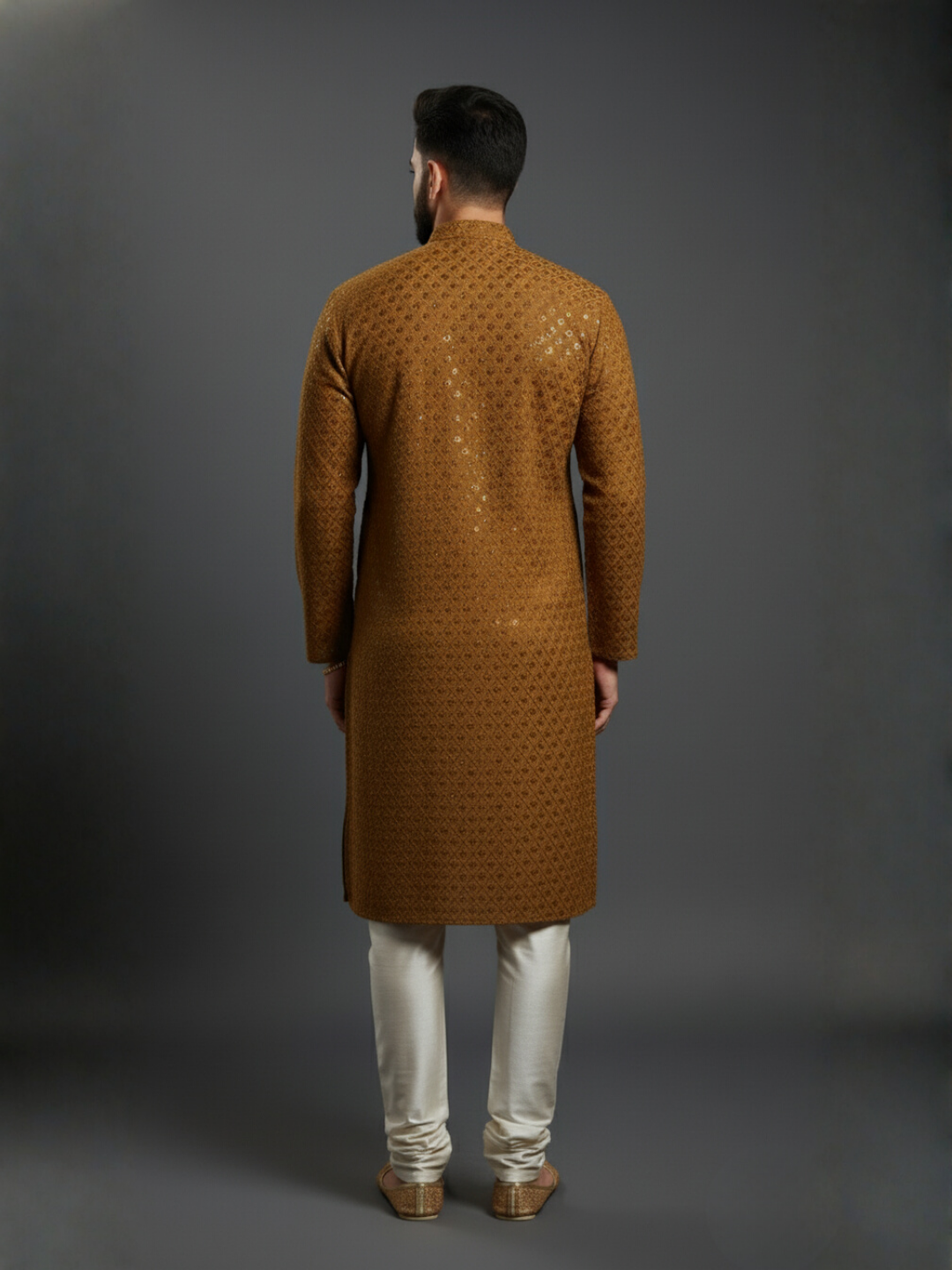 Luxe Sequience Embroidery Mandarin collar regular fit Kurta