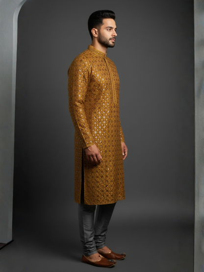 Top Traditional Sequience Embroidery Mandarin Collar Regular Fit Kurta