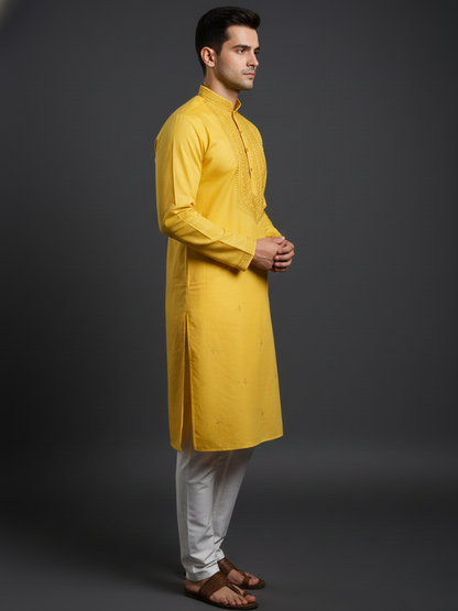 Golden Glow Neck work Sequin Embroidery Mandarin Collar Regular Fit Kurta