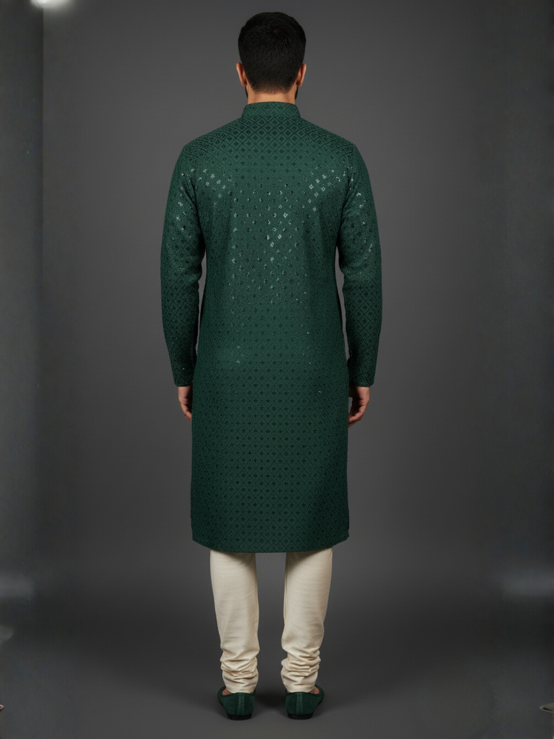 Luxe Sequience Embroidery Mandarin collar regular fit Kurta