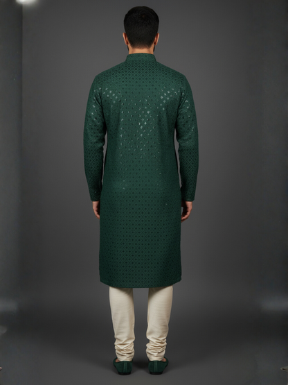 Luxe Sequience Embroidery Mandarin collar regular fit Kurta