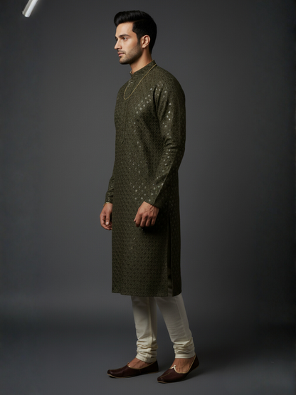 Luxe Sequience Embroidery Mandarin collar regular fit Kurta