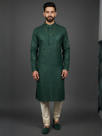 Luxe Sequience Embroidery Mandarin collar regular fit Kurta